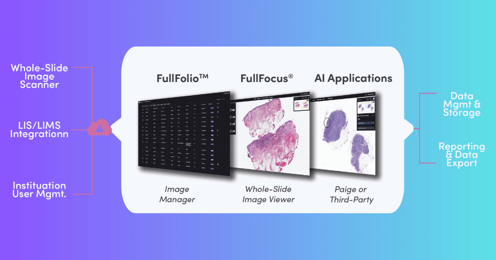 Microsoft and Paige Join Forces to Develop the Largest Image-Based AI for Cancer Fight