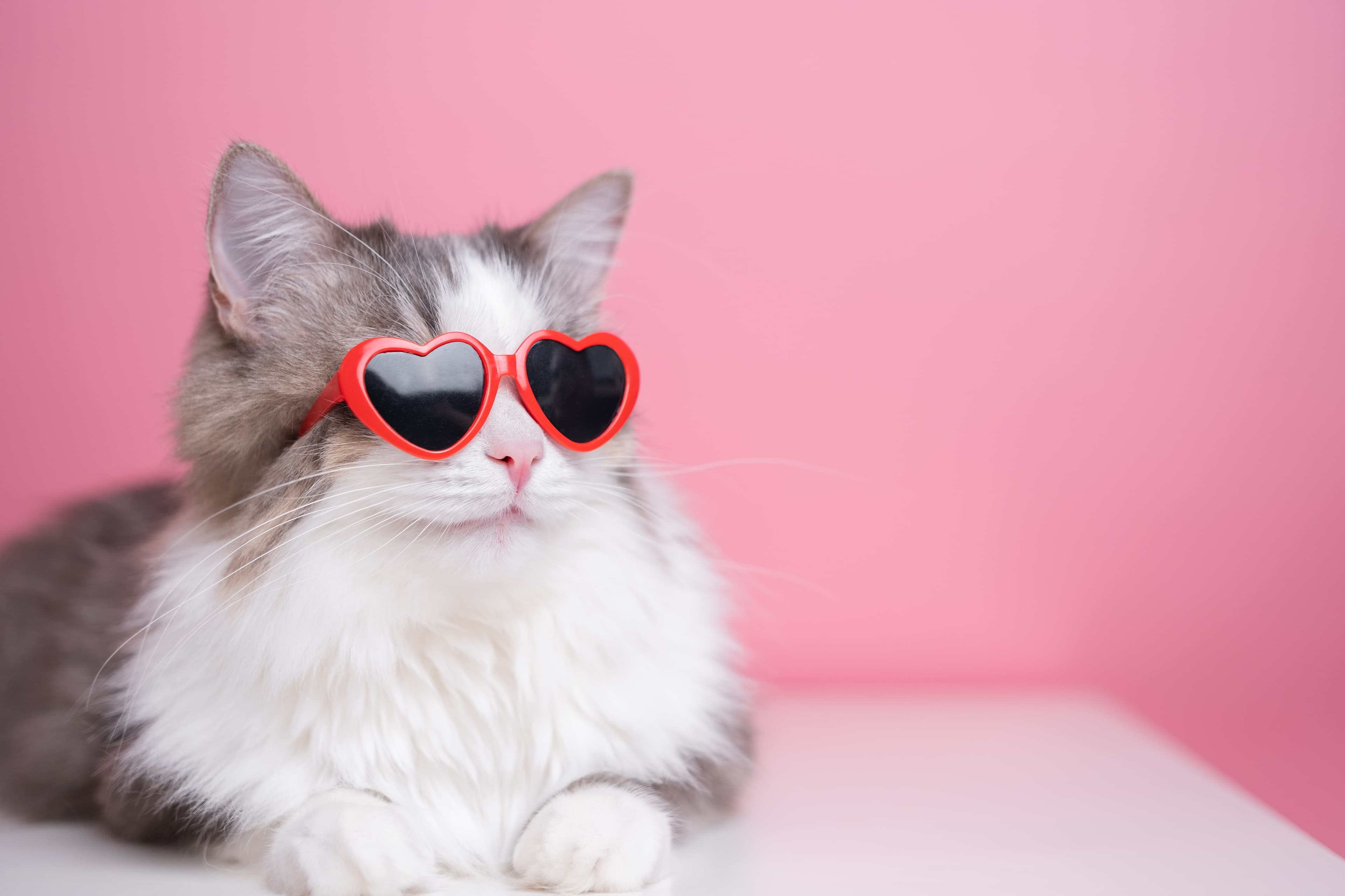 India's largest companies partner with NVIDIA to advance AI